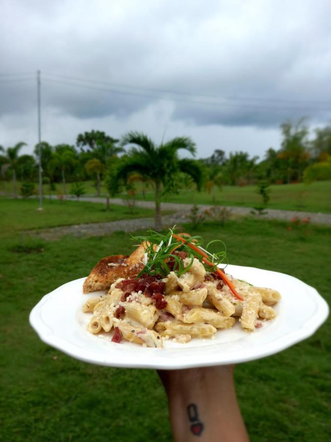Green Acres Village Moalboal Luaran gambar