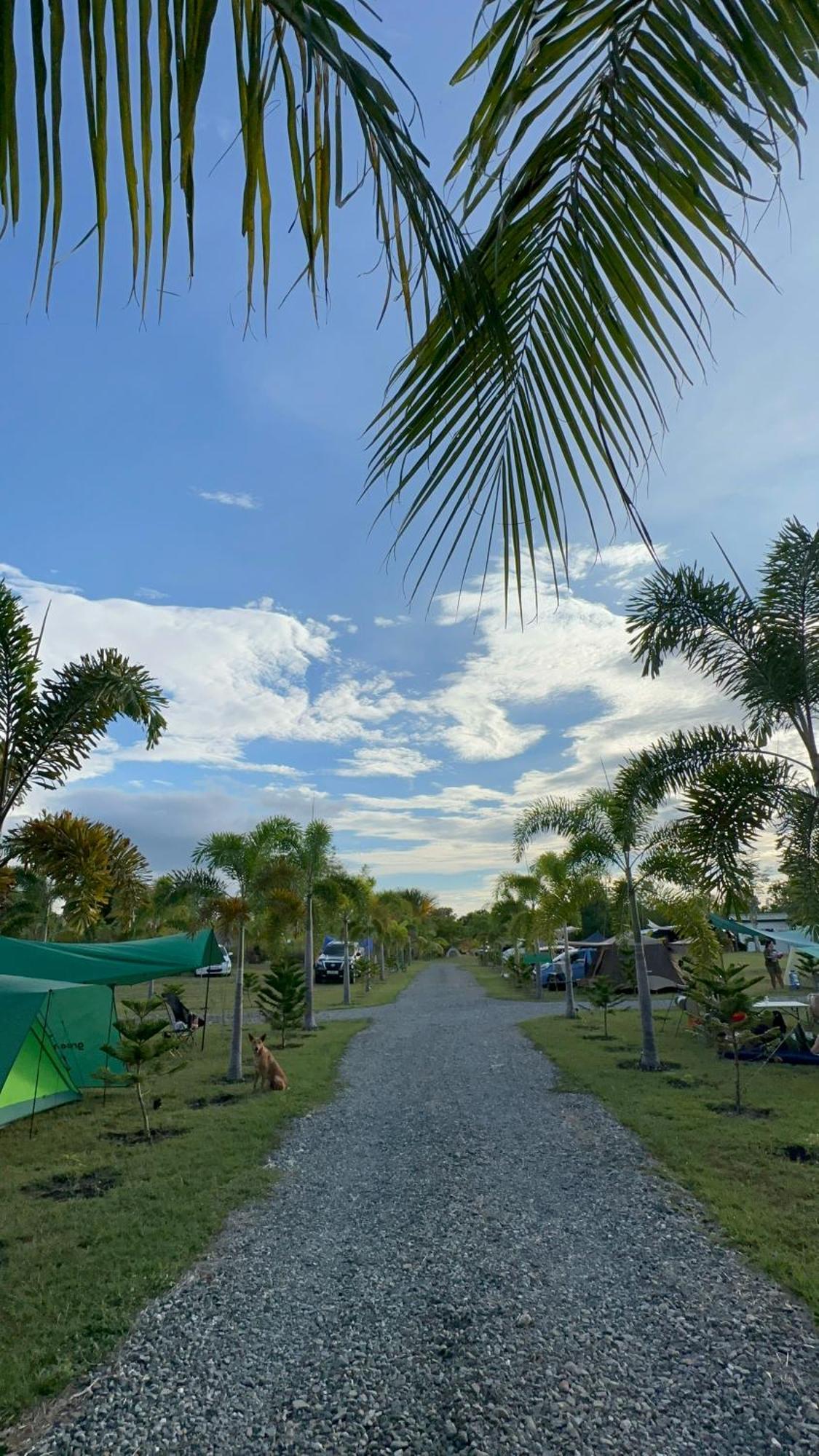 Green Acres Village Moalboal Luaran gambar